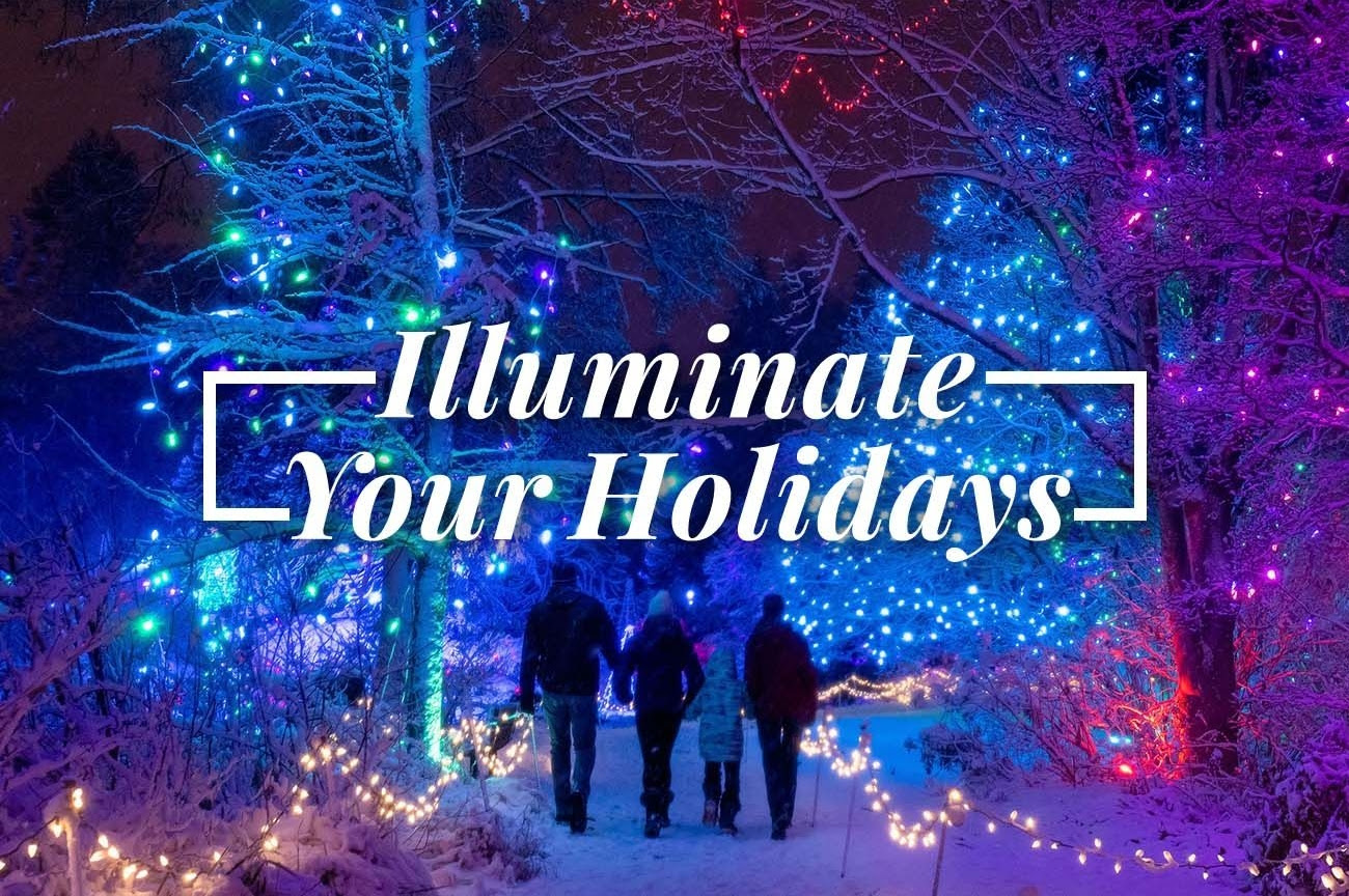 family travel expert for international travel shares best christmas lights near me and around the world