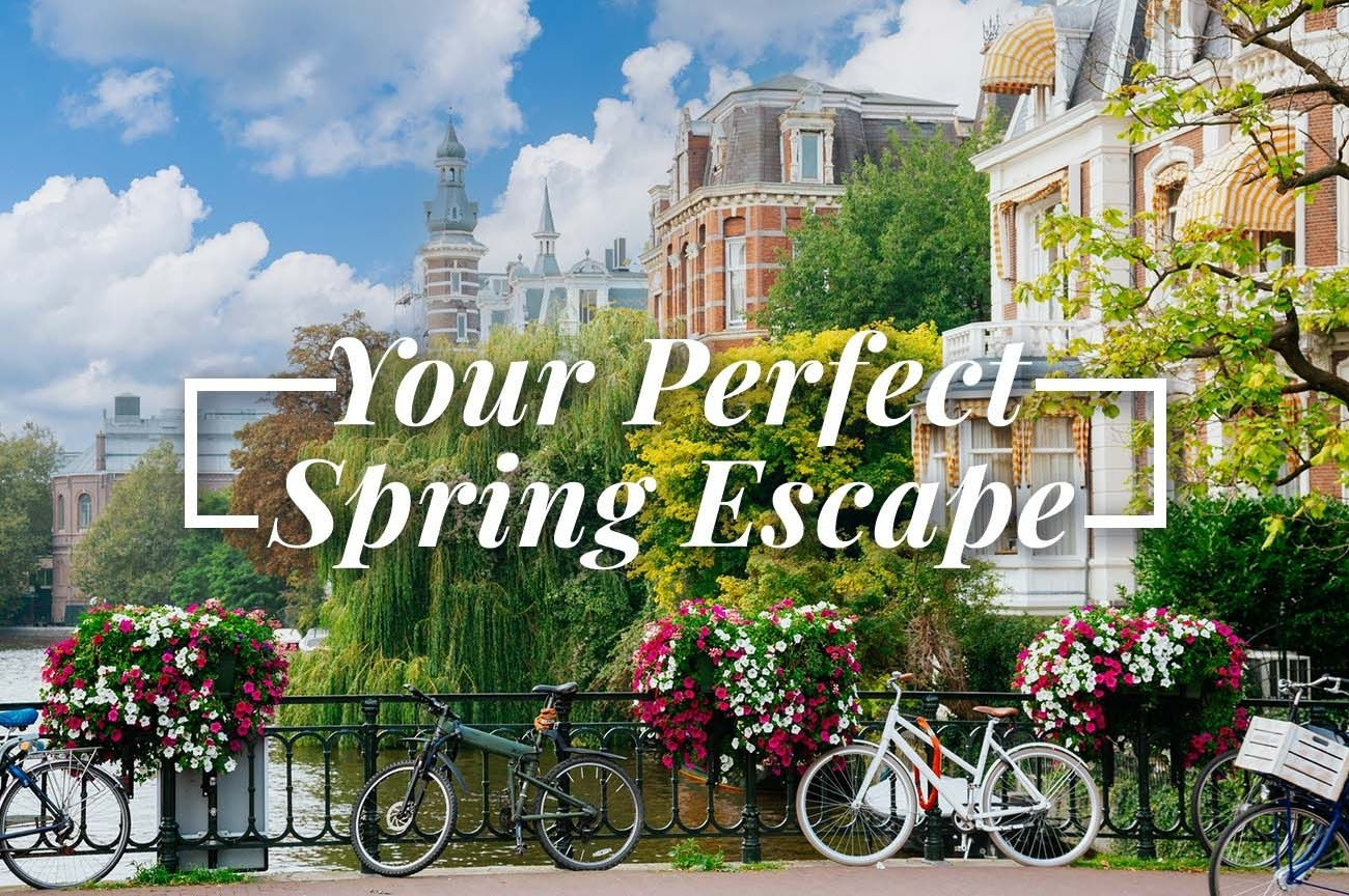 family travel expert for international travel helps you plan your perfect spring escape
