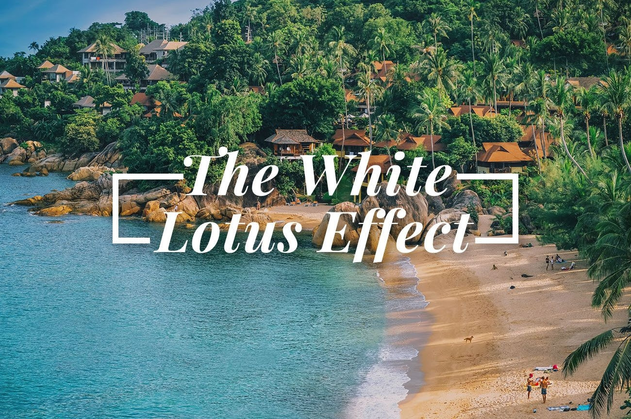 the white lotus effect in Thailand beaches